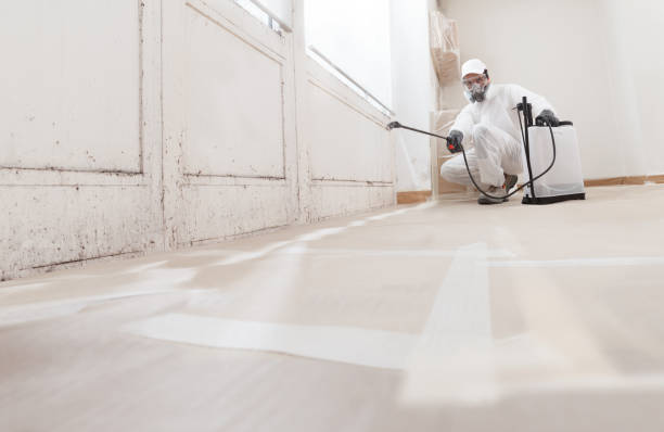 24/7 Emergency Mold Remediation experts in Brentwood, TN